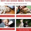 Dog Toy Set - Tail, Chew, Puppy Teething, Rope, Squeaky Toys for Small to Medium Dogs (Pack of 6)