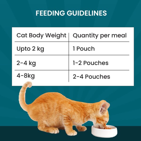 710pLp4v6cL._SL1500_.jpg Goofy Tails Wet Cat Food and Kitten Food Variety Pack 210g (70g X 3 Pouches), Tuna and Anchovies, Mackerel and Seaweed, Chicken and Flaxseeds, Preservative Free, Wholesome, Natural Cat Wet Food