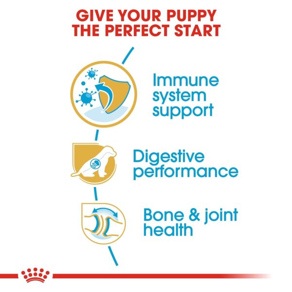 Royal Canin German Shepherd Puppy Food, 1 Kg, Dry Food, Supports Immune System & digestive health, Promotes Bone & Joint Health