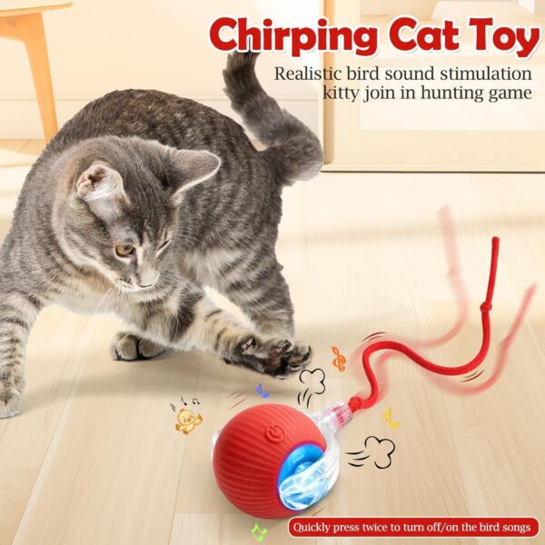 Cat Toys Ball – Smart Rolling LED Ball, Automatic & USB Rechargeable Motion Activate for Indoor Kitten Puppy Dog cat- Pet Exercise, IQ Training, Fun & Engaging Pet Toy