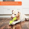 Western Era Dog Rubber Dumble Toy with Bell is Fun, Interactive, Amazing, Provide a Sense, Healthy Exercise,Training, Stimulation, Chew, Play, Ideal for Medium and Large Breeds(Large)