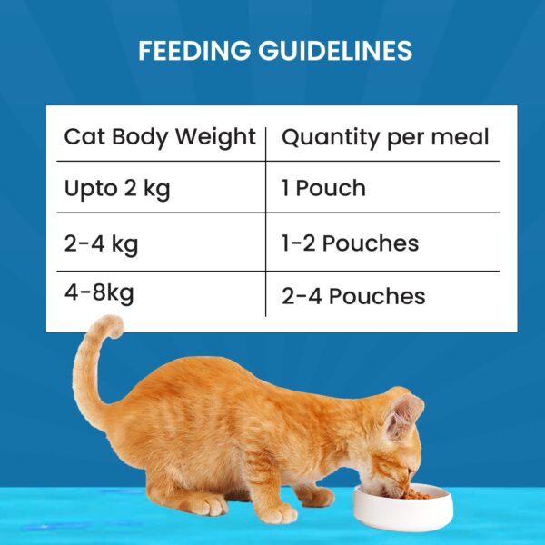Goofy Tails Mackerel and Seaweed Wet Cat Food and Kitten Food, 350g (70g X 5 Pouches), Preservative Free, Gluten & Grain Free, Balanced Cat Wet Food, Powered by Taurine with Omega 3 & Antioxidants