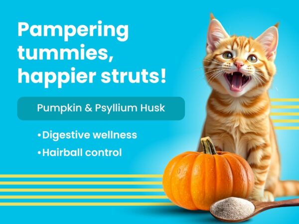 BARK OUT LOUD - Wet Cat Food Fresh Mackerel & Tuna | Omega Enriched, Salmon Oil, Taurine | No Sugar Gravy Cat Food for All Breeds | 85g (Pack of 6)