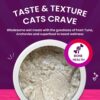 712xYcCxErL._SL1500_.jpg Goofy Tails Tuna and Anchovies Wet Cat Food and Kitten Food, 350g (70g X 5 Pouches), Preservative Free, Gluten & Grain Free, Balanced Cat Wet Food, Powered by Taurine with Omega 3 & Antioxidants