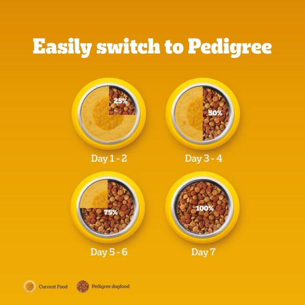 Pedigree Puppy Dry Dog Food, Chicken & Milk, 20 kg, Contains 37 Essential Nutrients, 100% Complete & Balanced Food for Puppies