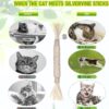 1 Pack Silvervine Cat Toy, Silvervine Sticks Cat Toys for Indoor Cats, Cat & Kitten Chew Toys for Aggressive Chewers, Cat Dental Toy for Kitten Teeth Cleaning, Matatabi Silvervine for Cats.