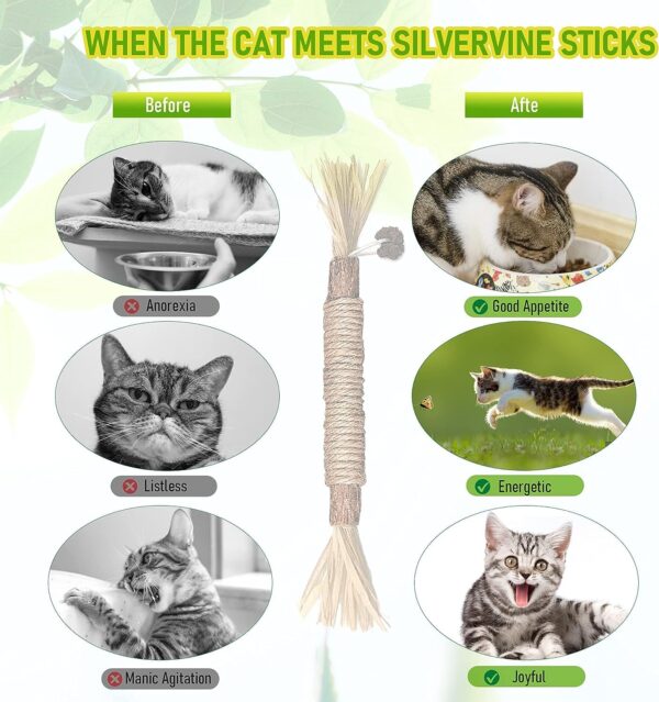 1 Pack Silvervine Cat Toy, Silvervine Sticks Cat Toys for Indoor Cats, Cat & Kitten Chew Toys for Aggressive Chewers, Cat Dental Toy for Kitten Teeth Cleaning, Matatabi Silvervine for Cats.