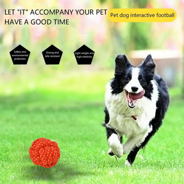 714-wHZM5xL._SL1500_.jpg PremiumAV Knotted Durable Big Ball Rope Toy for Dogs & Puppies – Tough Chew Toy, Long-Lasting Dental Care & Interactive Fetch Toy for Aggressive Chewers
