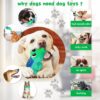 Sage Square Dog Squeaky Chew Toys for Aggressive Chewers Dental Teething Cleaning [Non-Toxic Soft Natural Rubber], Cute Crocodile Design (Colour May Vary)