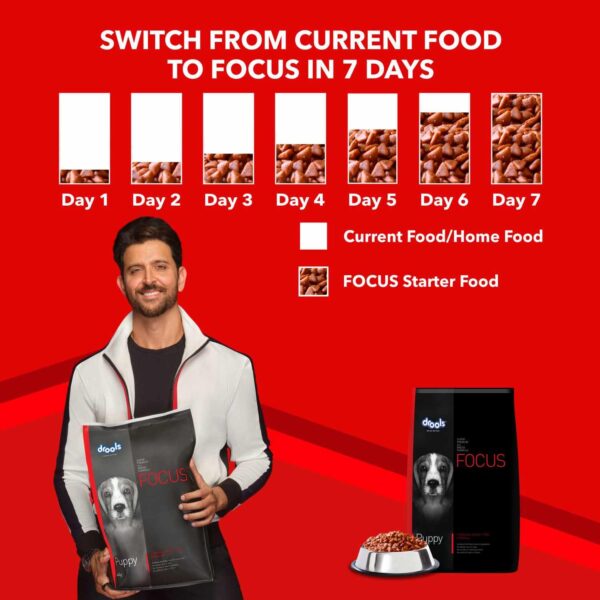714ICfyfSsL._SL1500_.jpg Drools Focus Adult Super Premium Dry Dog Food, 12 kg (+1kg Free Inside), Total 13 Kg Pack