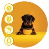Fidele+ Dry Dog Food 1 Kg Large Breed Puppies Complete & Balanced Diet Supports Growth, Energy, Joints & Immunity No Artificial Flavours, Preservatives