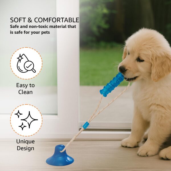 714L2dOYMgL._SL1500_.jpg amazon basics Tug of War Interactive Dog Toy | Blue | Suction Cup | Chew Grip with Rope | Stimulating & Interactive Ball for Teeth Cleaning
