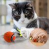 Speedy Tail 3.0, Upgraded Speedy Tail Cat Toy, Smart Interactive Cat Toy Balls, Interactive Cat Toys for Indoor Cats,Automatic Moving Smart Cat Toys Ball with Tail Two Speed Adjustment (Orange + Blue)