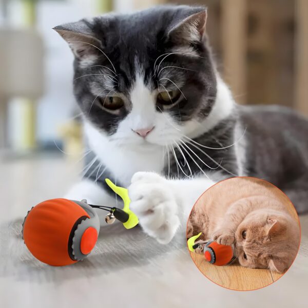 Speedy Tail 3.0, Upgraded Speedy Tail Cat Toy, Smart Interactive Cat Toy Balls, Interactive Cat Toys for Indoor Cats,Automatic Moving Smart Cat Toys Ball with Tail Two Speed Adjustment (Orange + Blue)