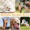 Foodie Puppies 7-in-1 Combo of Cotton Rope Toys for Small Dogs and Puppies - (2Knot, Slipper, Cornstick, Tennis, Handle Ball, Cotton Ball & Carrot) | Teething & Training Rope Chew Toy (Color May Vary)
