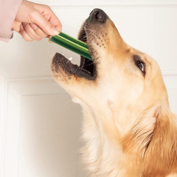 715NatsoLLL._SL1500_.jpg Goofy Tails Active Seaweed Dental Stick 220g, Dog Treats Vegetarian, Dental Sticks for Dogs, Chew Sticks for Dogs, Dog Treats for Adult Dog and Puppies, Dog Chew Stick
