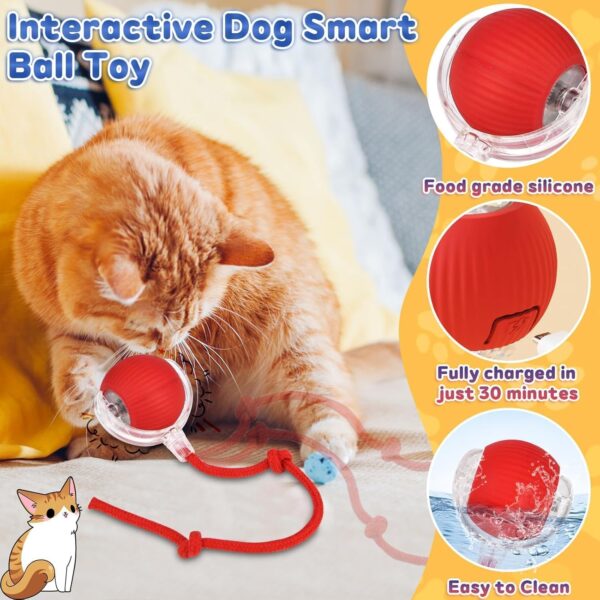 HobbyLobby Interactive Rolling Chewie Ball for Cats & Dogs Smart 360� Automatic Rolling Pet Toy Chewie Doggie Ball for Small & Large Pets Fun Exercise & Play