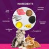 715mYUEIHqL._SL1500_.jpg Goofy Tails Wet Cat Food and Kitten Food 3 Combo, 1050g (15 Pouches x 70g), Tuna and Anchovies, Mackerel and Seaweed, Chicken and Flaxseeds, Preservative Free, Wholesome, Natural Cat Wet Food