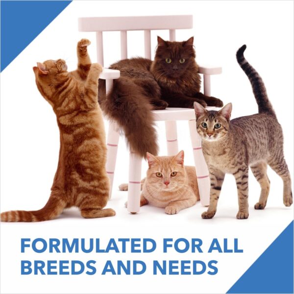 Drools Adult Dry Cat Food, Tuna Salmon 1.2 Kg Pack