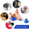 PETS EMPIRE Multifunctional Dog Chew Toy with Double Suction Cup | Interactive Tug Toy for Aggressive Chewers, Puppy Toothbrush & Teeth Cleaning Molar Bite Stick