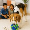 716ue0ClunL._SL1500_.jpg The Pets Company Snuggle Snuffle Dog Feeder Ball – Interactive Puzzle Toy for Dogs, Mental Stimulation, Anxiety Relief, Slow Feeding, Machine Washable, Treat Dispenser, Multicolor - 6 Inches