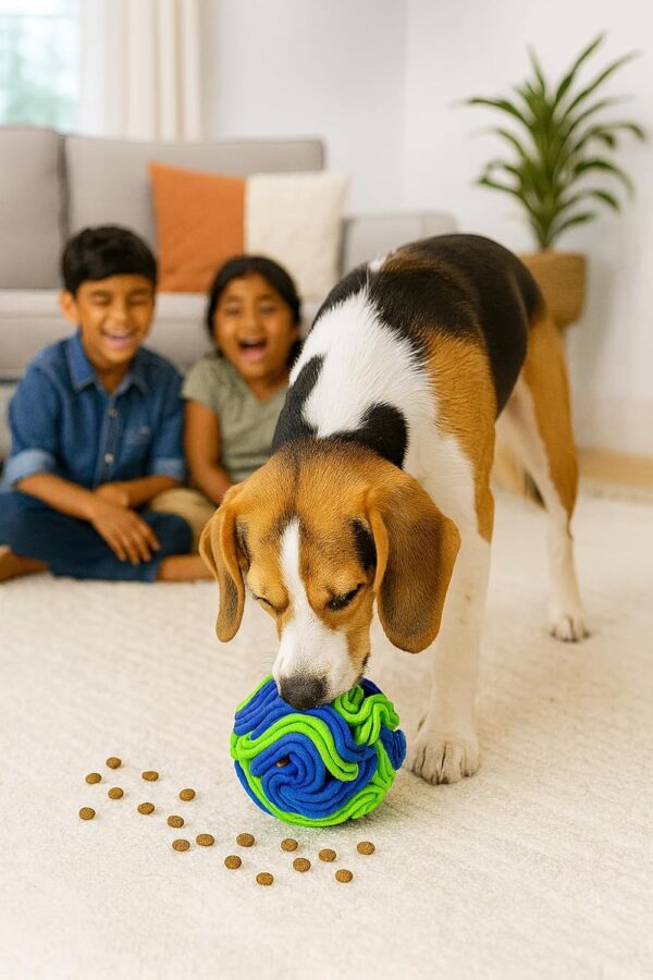 716ue0ClunL._SL1500_.jpg The Pets Company Snuggle Snuffle Dog Feeder Ball – Interactive Puzzle Toy for Dogs, Mental Stimulation, Anxiety Relief, Slow Feeding, Machine Washable, Treat Dispenser, Multicolor - 6 Inches