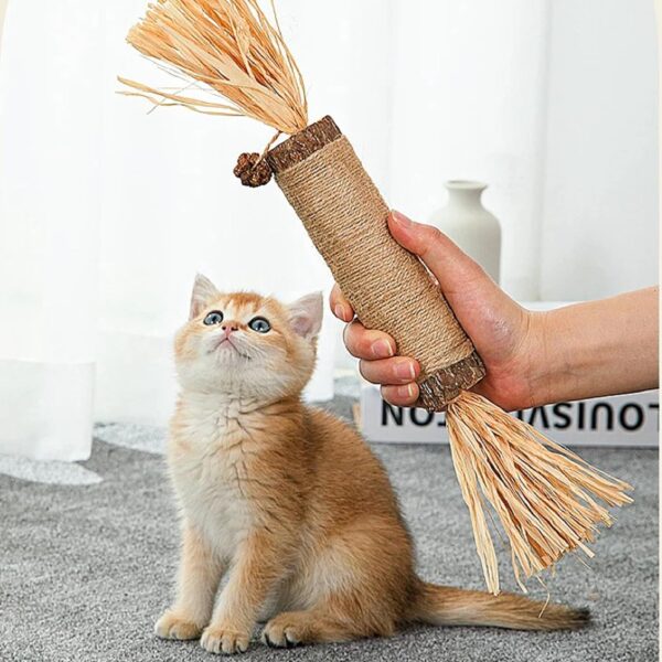 717K2B-UOqL._SL1500_.jpg Sunkizzrs® Huge Silvervine Stick with Sisal Rope & Gall Fruit & Raffia Palm —Matatabi Stick for Cat Teeth Cleaning —Interactive CatnipToy Set —Chew & Scratch Toys for Aggressive Chewers (Φ3 x 38cm)