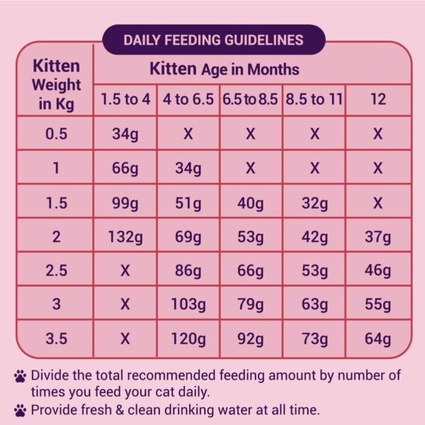 Kitten Dry Cat Food | Chicken & Ocean Fish | 1.2 kg | 40% Reduction in Urinary Track Diseases |Promotes Brain & Vision Development | Enhances Immunity | Improves Digestive Health