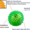 717ekF68hrL._SL1479_.jpg PSK PET MART LED Squeaky Ball Toy for Dogs, Cats and Puppies (Multicolour) -Pack of 5