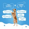 717ucTGzekL._SL1500_.jpg BLEP Healthy Dog Food for Adult & Puppies | 6 Different Non Veg Zero Preservatives| Dog Trial Pack | Wet Dog Food | Complete Meal & Balanced | 600g | 6 Packs of 100g