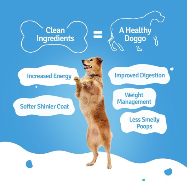 717ucTGzekL._SL1500_.jpg BLEP Healthy Dog Food for Adult & Puppies | 6 Different Non Veg Zero Preservatives| Dog Trial Pack | Wet Dog Food | Complete Meal & Balanced | 600g | 6 Packs of 100g