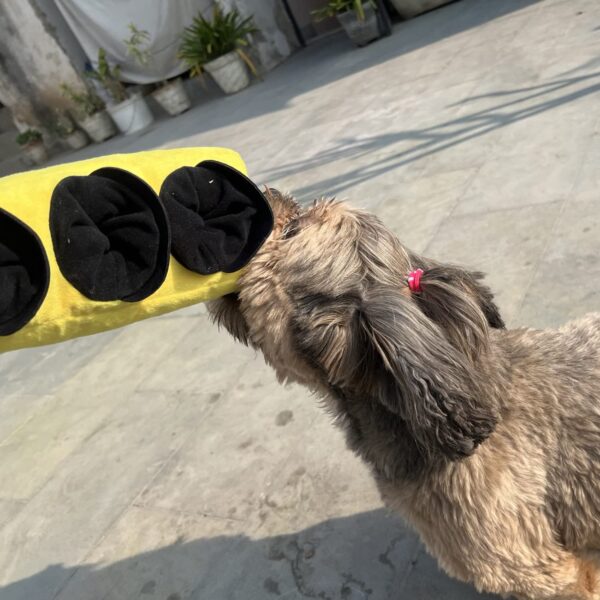 Goofy Tails Traffic Light Plush Toy With 3 Squeaky Tennis Balls for Dogs - Crinkle and Chew Toys for All Breeds - Ball and Rope Toys