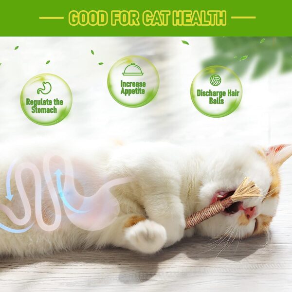 1 Pack Silvervine Cat Toy, Silvervine Sticks Cat Toys for Indoor Cats, Cat & Kitten Chew Toys for Aggressive Chewers, Cat Dental Toy for Kitten Teeth Cleaning, Matatabi Silvervine for Cats.