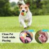 emily pets Dog Chew Rope Toys Pack of 7 Combo for Dogs & Puppies Ball Dual-Tennis Knotted Chewing Dog Toy for Playing, Teeth Cleaning & Training (Color As Vary, Pack 7)