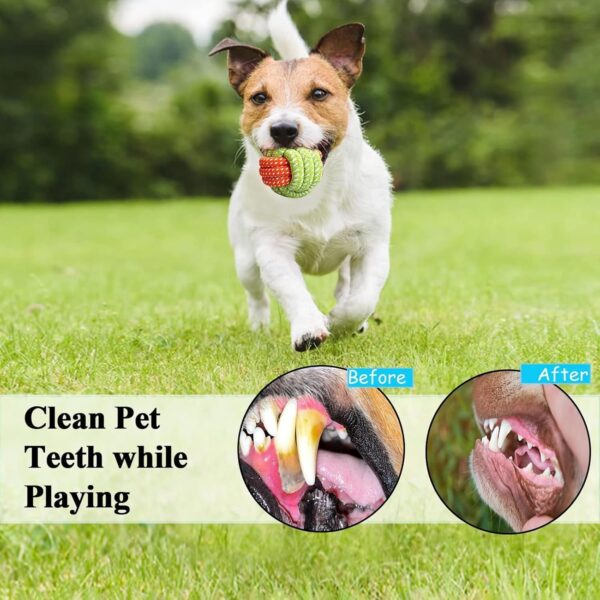 emily pets Dog Chew Rope Toys Pack of 7 Combo for Dogs & Puppies Ball Dual-Tennis Knotted Chewing Dog Toy for Playing, Teeth Cleaning & Training (Color As Vary, Pack 7)