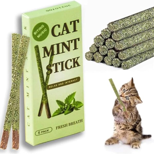cature Care by Nature Cat Chew Sticks - Natural Catnip Toys With Mint Stick For Cat Teeth Cleaning & Playful Entertainment