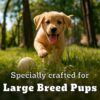 Pedigree PRO Puppy Large Breed, 1.2 kg Dry Dog Food, Vet Trusted Brand, Expert Nutrition, Quality Protein, 33% More Nutrients (3-18 Months)
