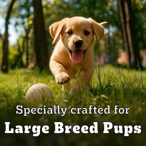 Pedigree PRO Puppy Large Breed, 1.2 kg Dry Dog Food, Vet Trusted Brand, Expert Nutrition, Quality Protein, 33% More Nutrients (3-18 Months)