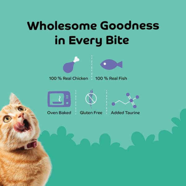 Cat Treats | Soft & Healthy Treats for Cats & Kittens | Rich in Taurine for Eye & Heart Health | Grain-Free | 35g (35g, Tuna with Cranberry)