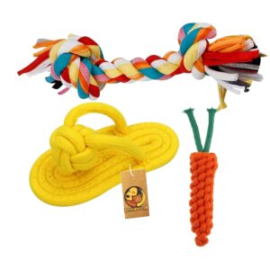 Foodie Puppies 3-in-1 Cotton Rope Chew Toy Combo for Small Foodie Puppies 3-in-1 Cotton Rope Chew Toy Combo for Small Dogs & Puppies | Durable, Safe Braided Rope Toys for Teething, Playing, Fetching & Training (2Knot, Carrot and Slipper) (Color May Vary)