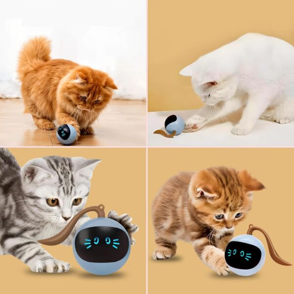 TR Tinsrom Interactive Cat Toy - USB Rechargeable for Kittens & Toys for Cats by TR Tinsrom