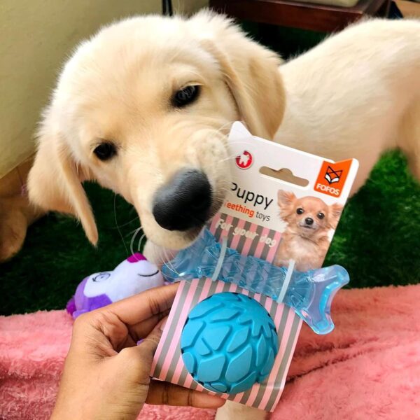 719IEImk5pL._SL1500_.jpg BarkButler x FOFOS Milk Bone & Ball Puppy Teething Toys Set - Puppy Toy Natural Rubber, Squeaky Toys for Dogs, Dog Toys for Medium Dogs (5-20kgs) - Blue