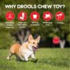 Drools Non-Toxic Rubber Toy for Dogs Hard Ball (Medium) 7.6 cm Pack