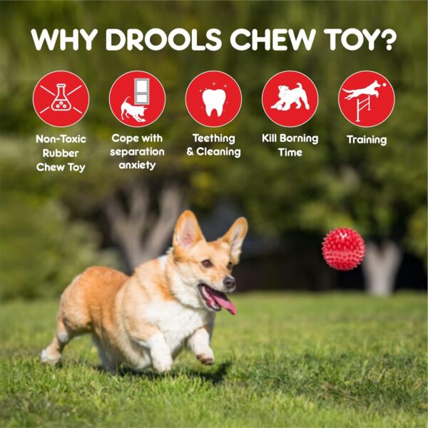 Drools Non-Toxic Rubber Toy for Dogs Hard Ball (Medium) 7.6 cm Pack