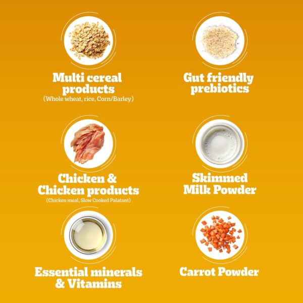 Pedigree Puppy Dry Dog Food, Chicken & Milk, 20 kg, Contains 37 Essential Nutrients, 100% Complete & Balanced Food for Puppies