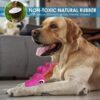 Sage Square Dog Squeaky Chew Toys for Aggressive Chewers Dental Teething Cleaning [Non-Toxic Soft Natural Rubber], Cute Crocodile Design (Colour May Vary)