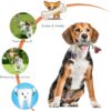71AxRPKcEOL._SL1490_.jpg Dog Rope Toys + Chew Toys, Combo Pack of 7 (Color May Vary)