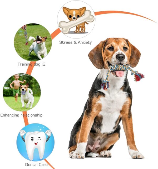 71AxRPKcEOL._SL1490_.jpg Dog Rope Toys + Chew Toys, Combo Pack of 7 (Color May Vary)