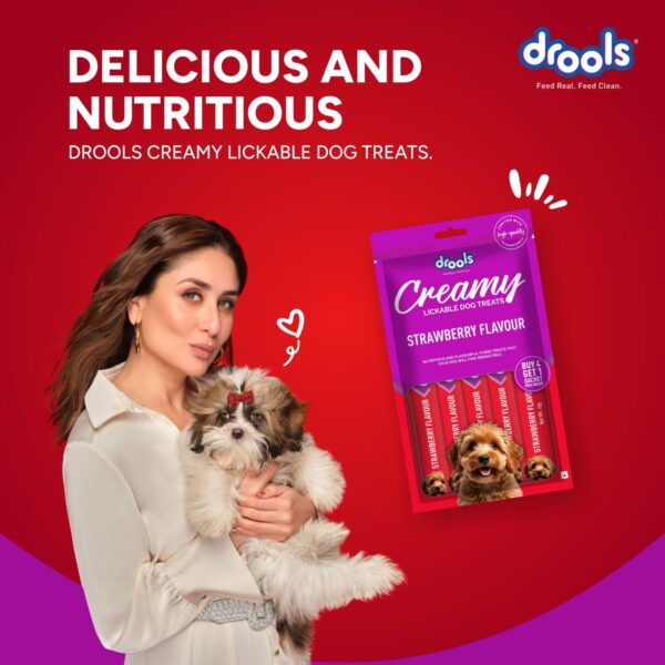 71B-f5w6iHL._SL1500_.jpg Drools Dog Treats, Creamy Strawberry 5 Sticks Tasty & Nutritious Snack for All Breeds, (15g x5),75g, All Life Stages