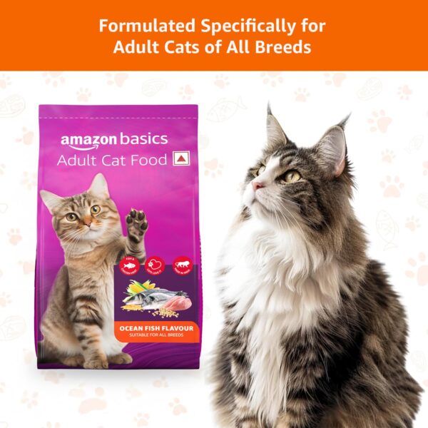 Amazon Basics Dry Cat Food | 1 Kg Trial Pack| Ocean Fish | with Real Chicken Meat & Fish | Suitable for Adult Cats | Packed with Protein | Suitable for All Breeds